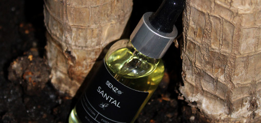 <p>Fragancias de temporada: La colecci&oacute;n de oto&ntilde;o</p>
