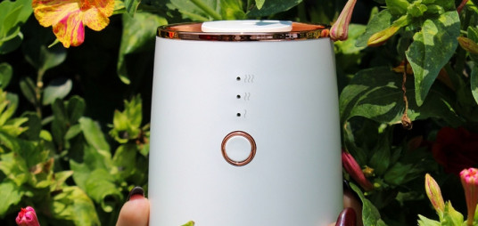 <p>La ciencia detr&aacute;s de lo que sentimos al oler</p>
