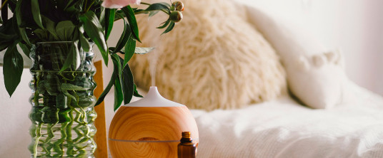 <p>Gu&iacute;a sencilla para cuidar tus difusores:</p>
