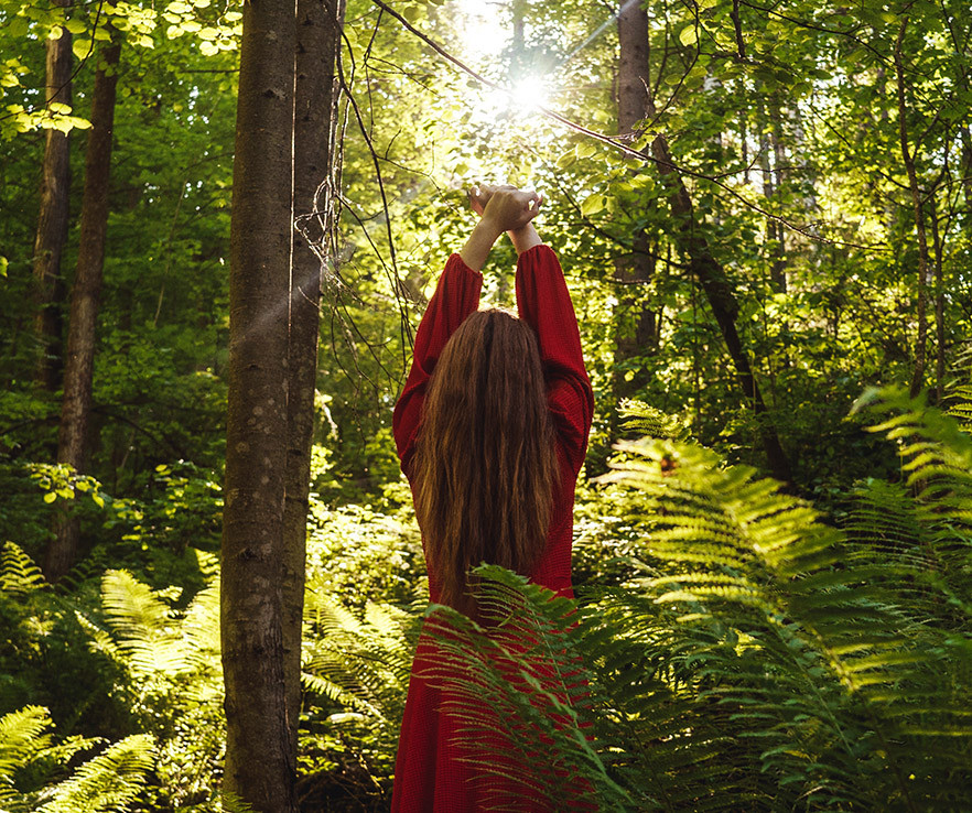 aroma cítrico herbal green tea lemongrass Senzo Boutique