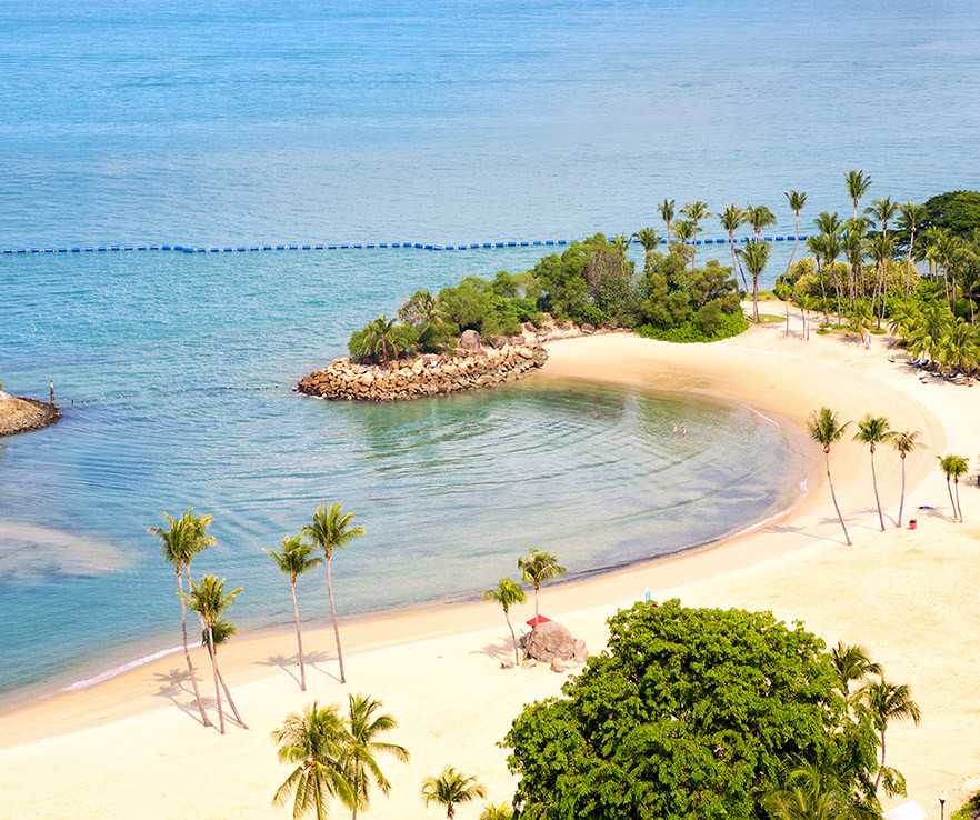 aroma amaderado especiado especial edition